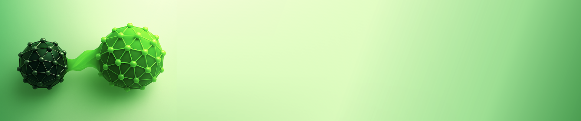 SCS Spring Meeting 2026